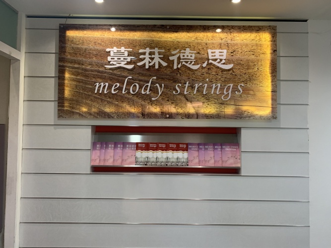 Melody Strings